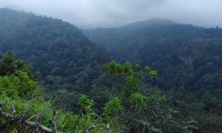 Daya Tarik di Wisata Panorama Petung Sewu