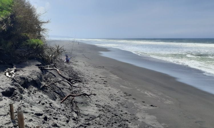 Fasilitas Pantai Pandansari