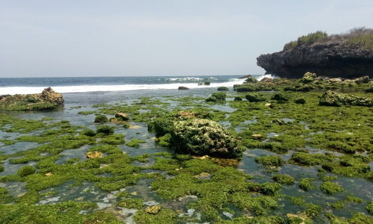 Harga Tiket Masuk Pantai Sarangan