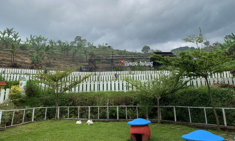 Harga Tiket Masuk Taman Kelinci Pacet