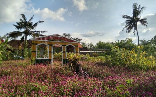 Taman Bunga Asri, Spot Foto Keren Berlatar Taman Bunga Cantik di Bantul Jogja