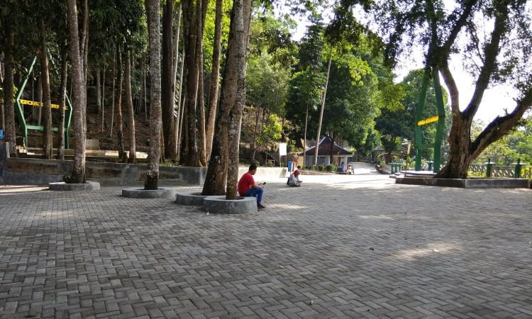 Aktivitas Menarik Goa Cerme