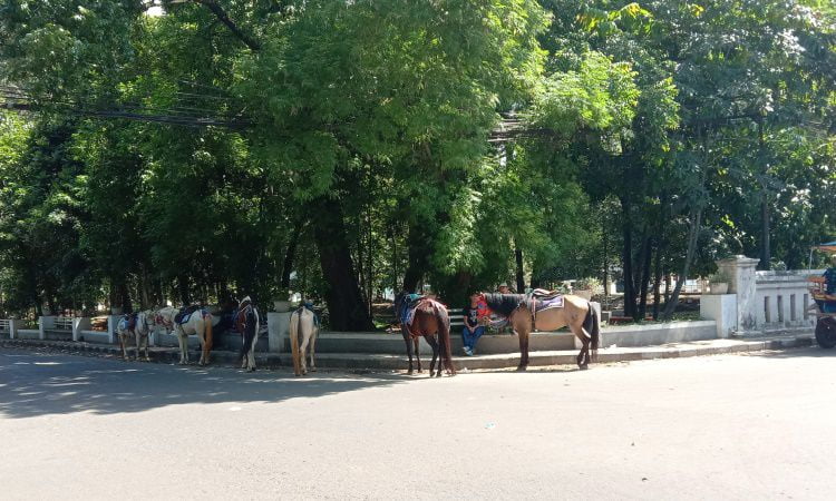 Aktivitas Menarik di Taman Lansia