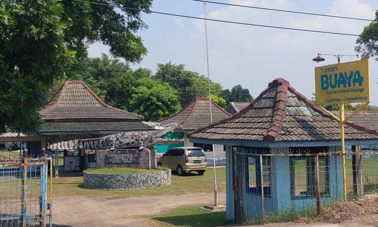 Berwisata ke Penangkaran Buaya Terbesar di Asia