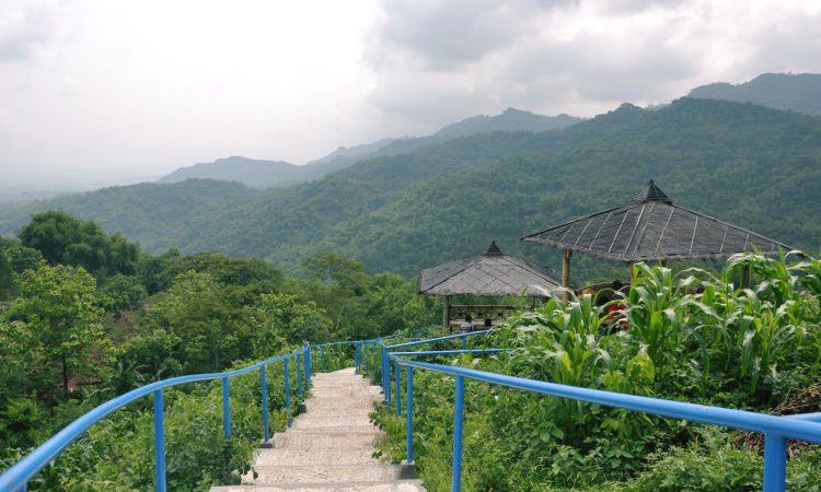 Daya Tarik Green Village Gedangsari