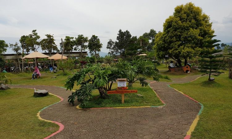 Aktivitas Lain Taman Kelinci Ciwidey