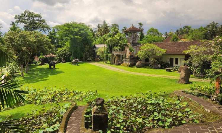 Aktivitas Menarik di Rudana Museum Ubud