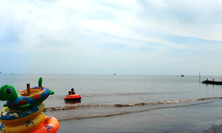 Aktivitas Menarik di Pantai Sedari