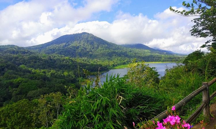 Aktivitas Menarik di Twin Lake View Bali