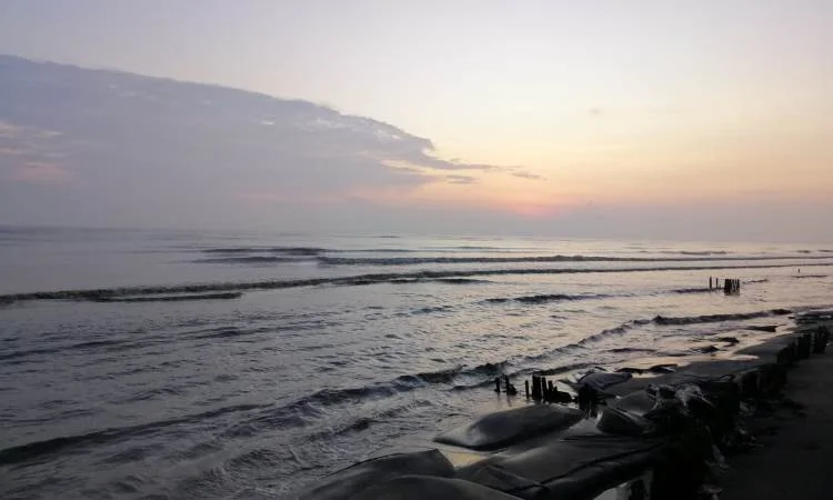 Daya Tarik Pantai Sedari