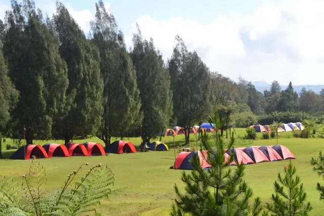 Acara menarik Mandalawangi Camping Ground