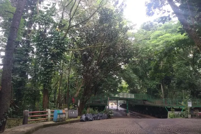 Alamat Forest Walk
