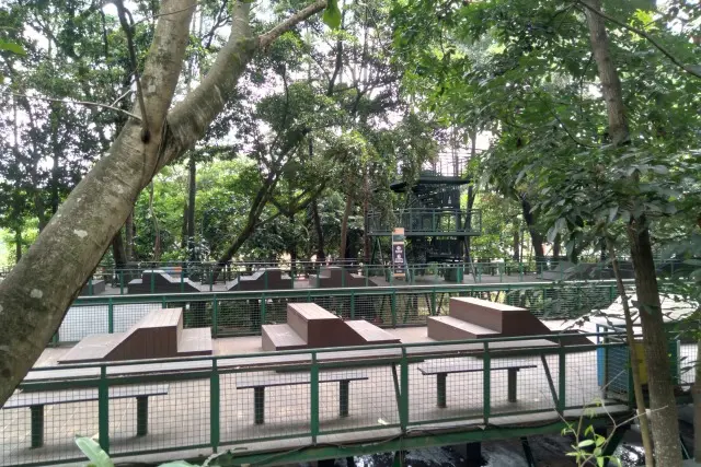 Fasilitas Forest Walk