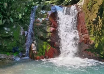 flora dan fauna taman safari bogor Daya Tarik Curug Gleweran