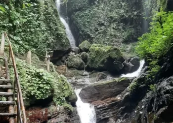 flora dan fauna taman safari bogor Daya Tarik Curug Walet