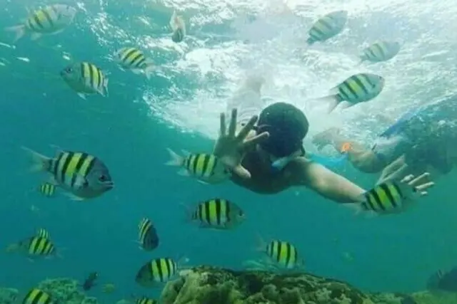 Snorkeling Pulau Mandeh